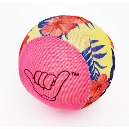 Ballz - Set of 2 with Carrying Case